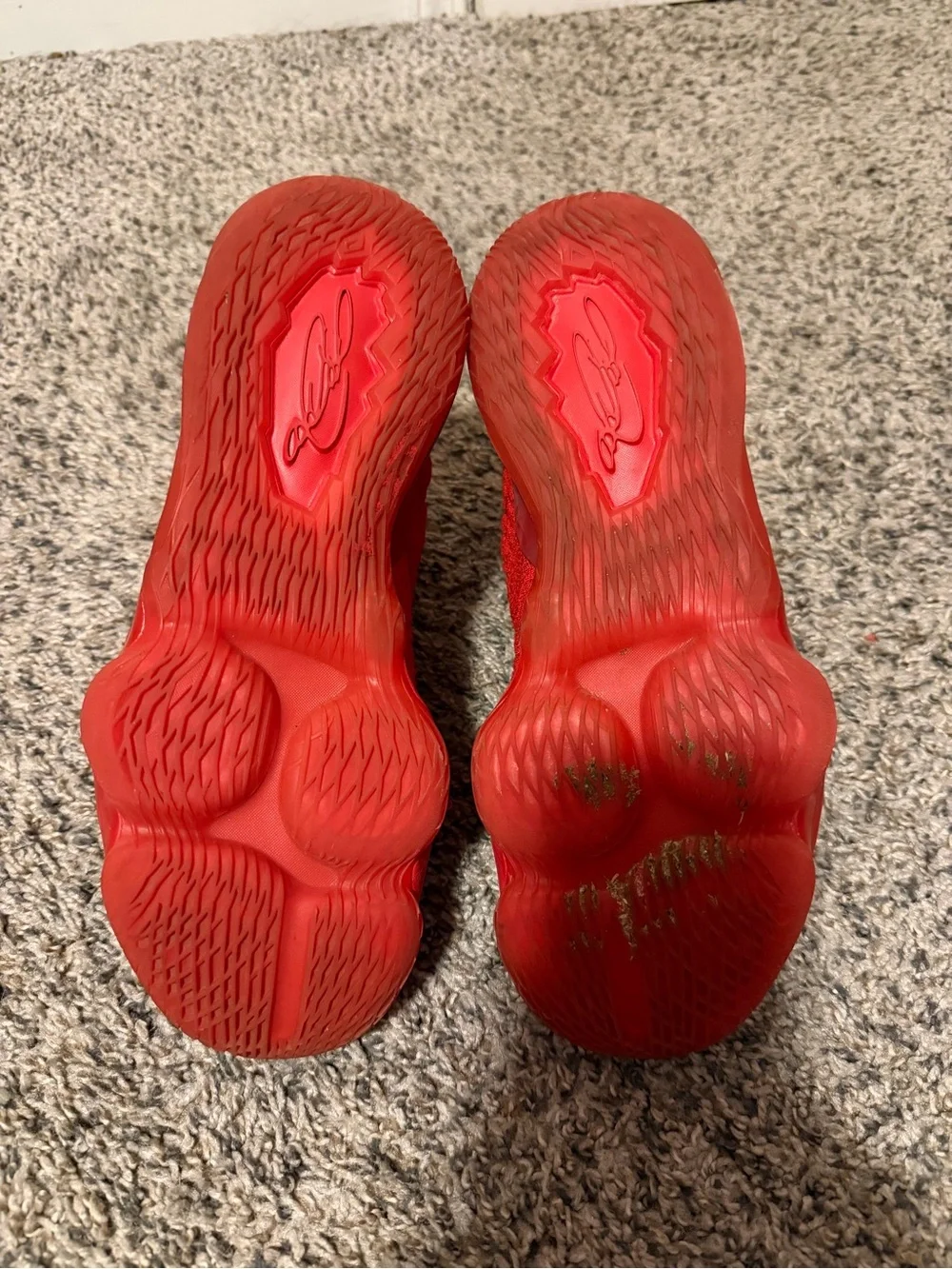 Used Lebron 17 basketball shoes